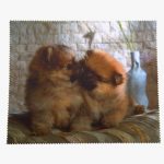 33553 Салфетка микрофибра с рисунком KAP-1518 OPP 0029 ANM