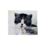 33342 Набор PP-50100 KAP-1518 P32002 салфетка микрофибра, брелок-отвертка