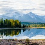 33723 Салфетка микрофибра с рисунком KAP-2020 RUS-023