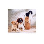 33576 Салфетка микрофибра с рисунком KAP-1518 OPP 104 P