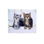 33626 Салфетка микрофибра с рисунком KAP-1518 OPP 32014 DAO