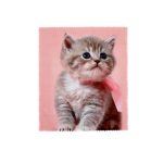 33739 Салфетка микрофибра с рисунком KAP-1518 OPP 008 PC