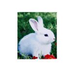 50458 Салфетка микрофибра с рисунком KAP-1518 OPP 2023 WR