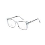 24889 Оправы корригирующих очков EYE VISION 39002 C2 55-15-145