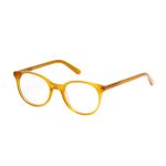 26087 Оправы корригирующих очков EYE VISION EV022020.2 48-21-145